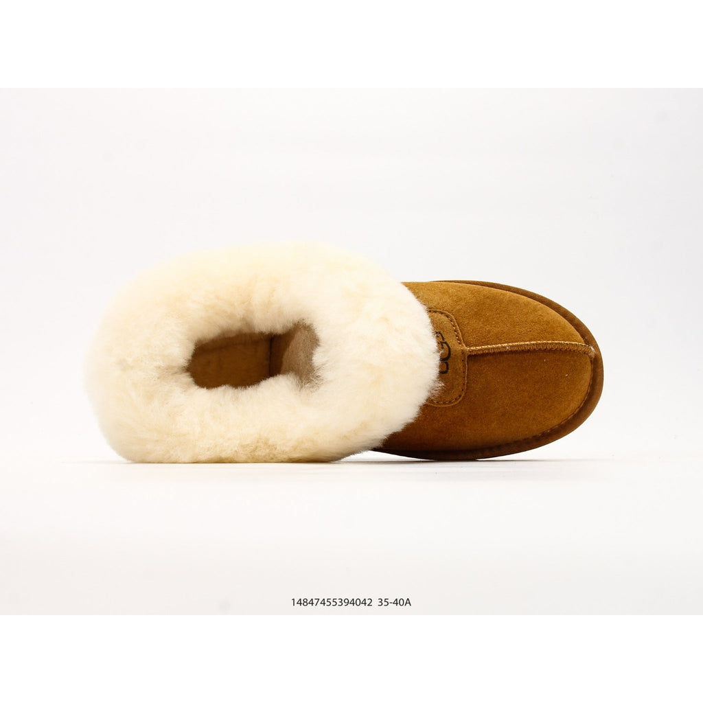 Tazzette "Chestnut"