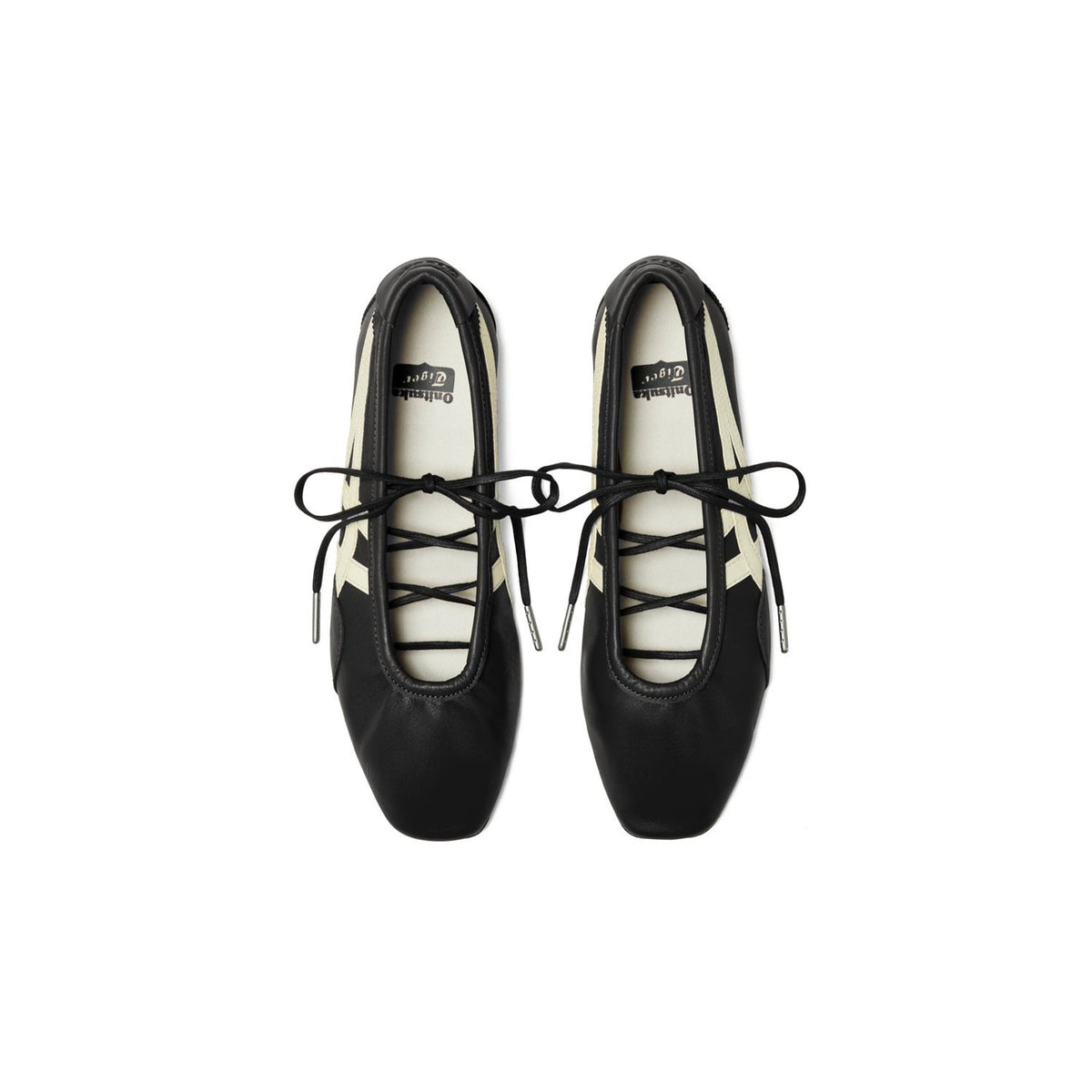 Gymnarina Black/ Cream